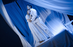 Дама с собачкой